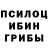 Галлюциногенные грибы Magic Shrooms Zulfikar Minhas