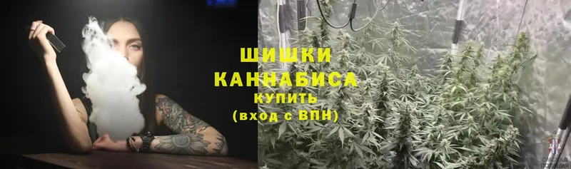 цена наркотик  Ковдор  Конопля OG Kush 